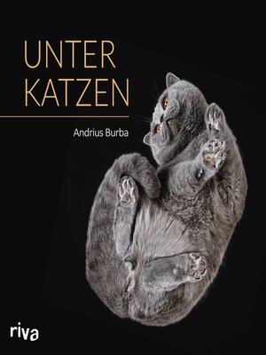 cover image of Unter Katzen